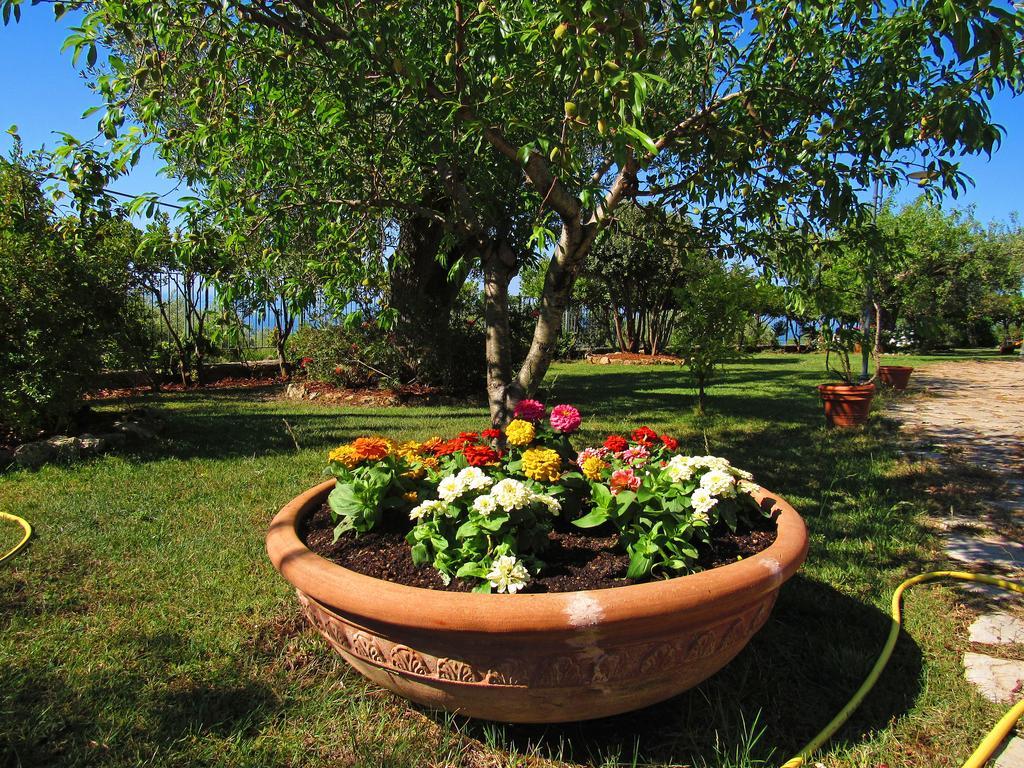 Relais Pian delle Starze Hotel Marina di Camerota Buitenkant foto