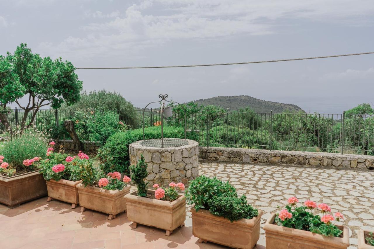 Relais Pian delle Starze Hotel Marina di Camerota Buitenkant foto